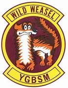 Wild Weasel Squadron Patch